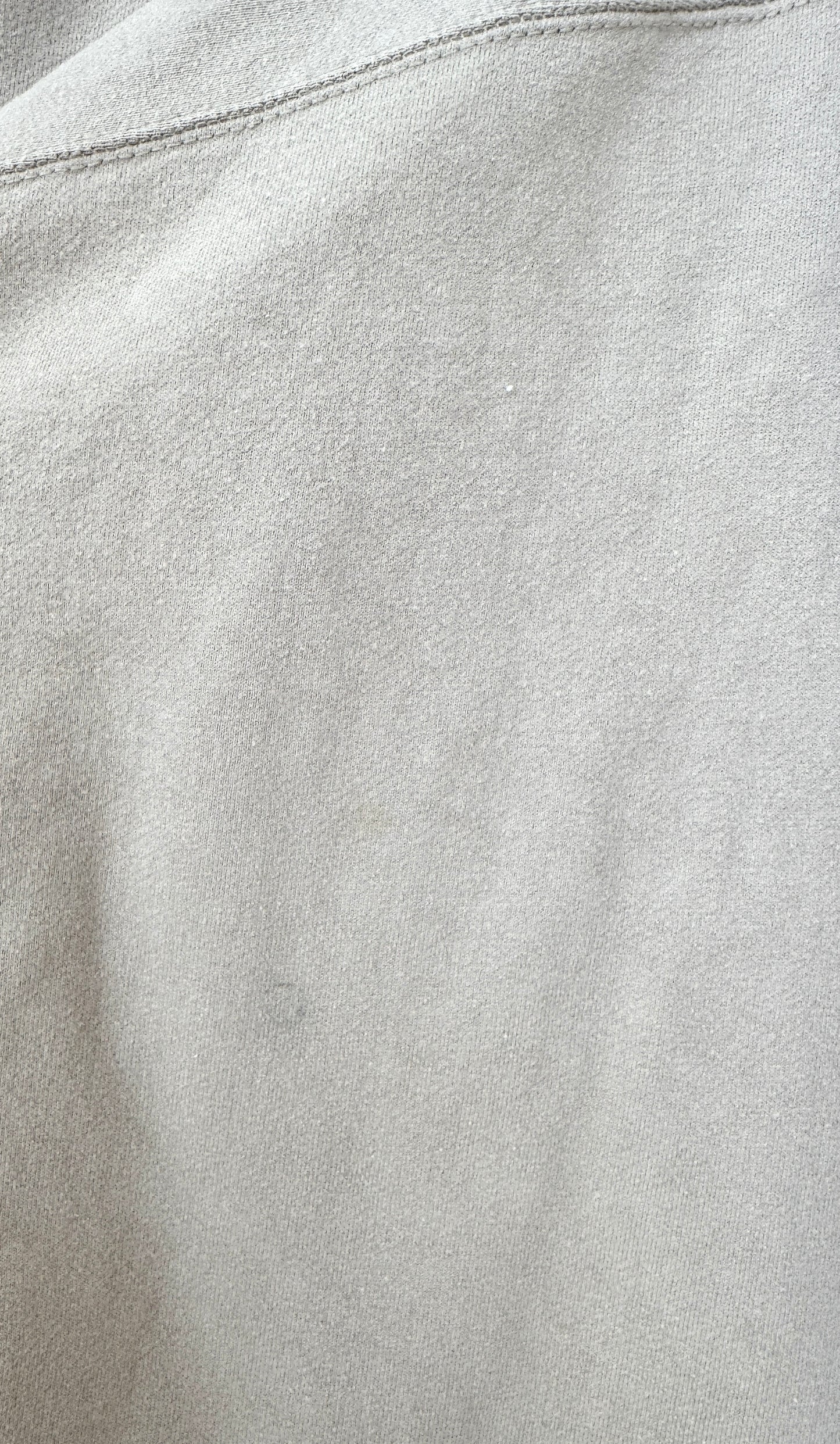 Mickey icon crewneck