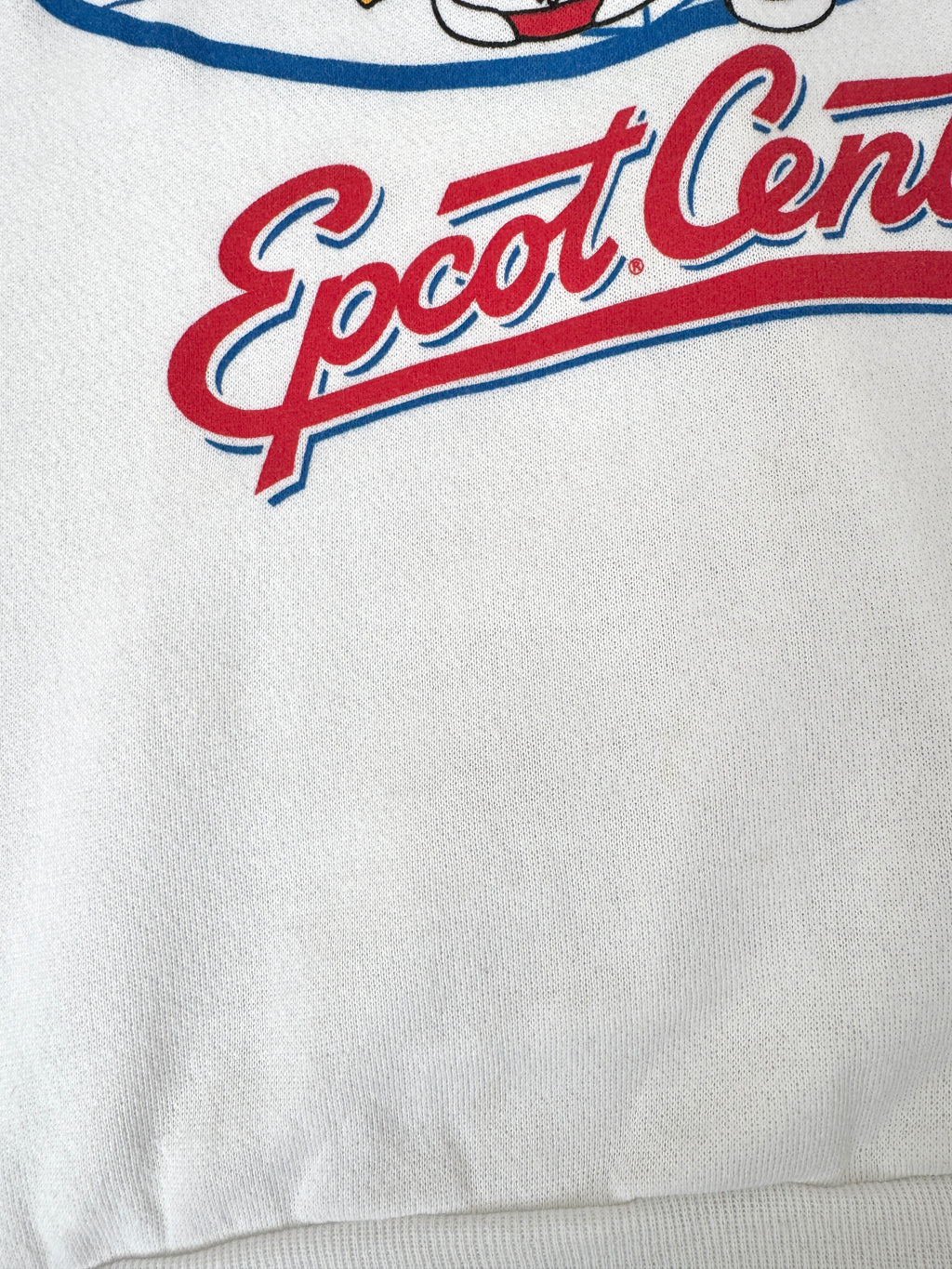 Epcot center crewneck