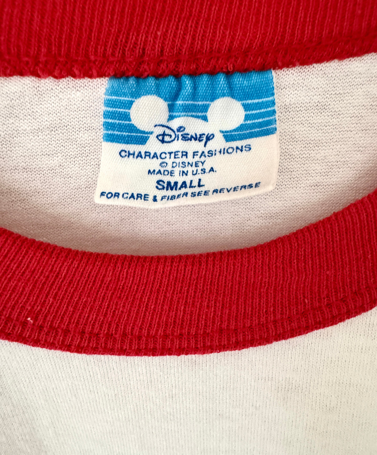 Desneyland raglan tee