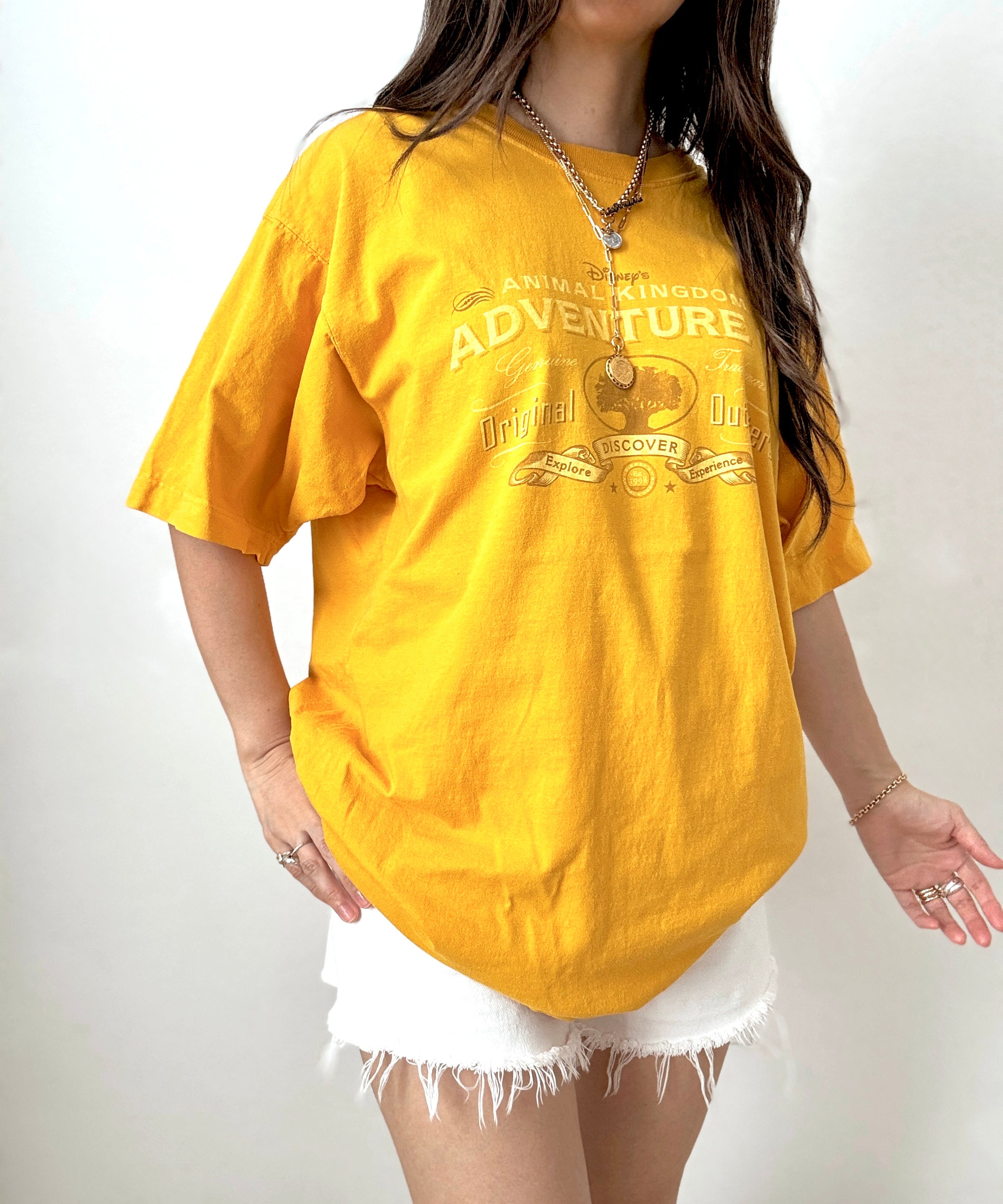 AK adventures co tee