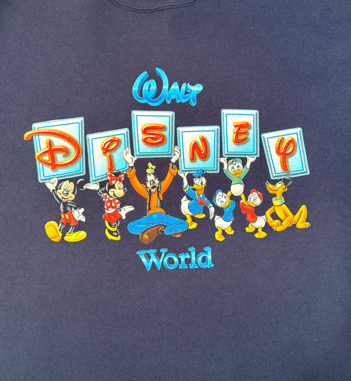 Walt Disney World crewneck