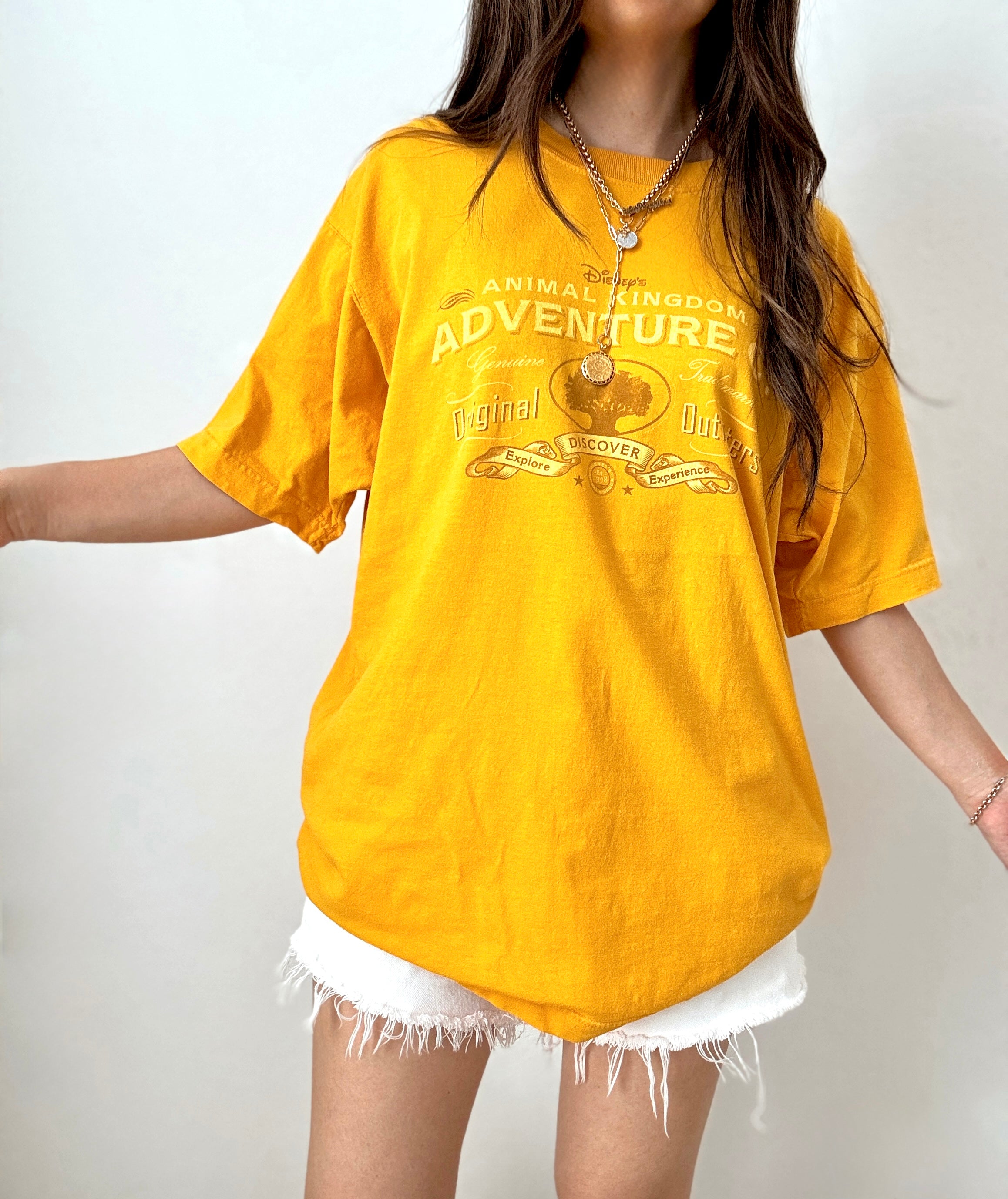 AK adventures co tee