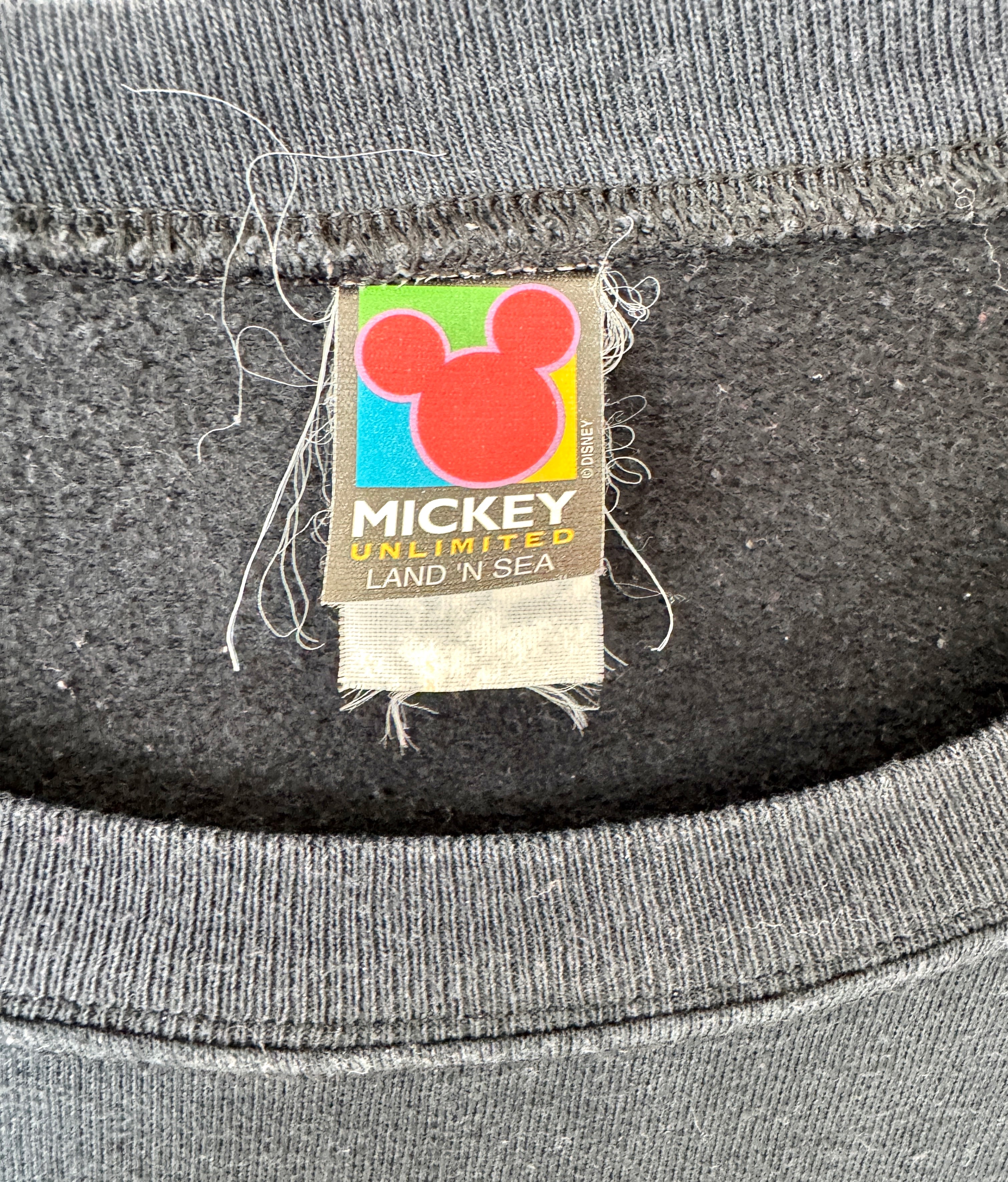 Mickey & Friends Halloween crewneck