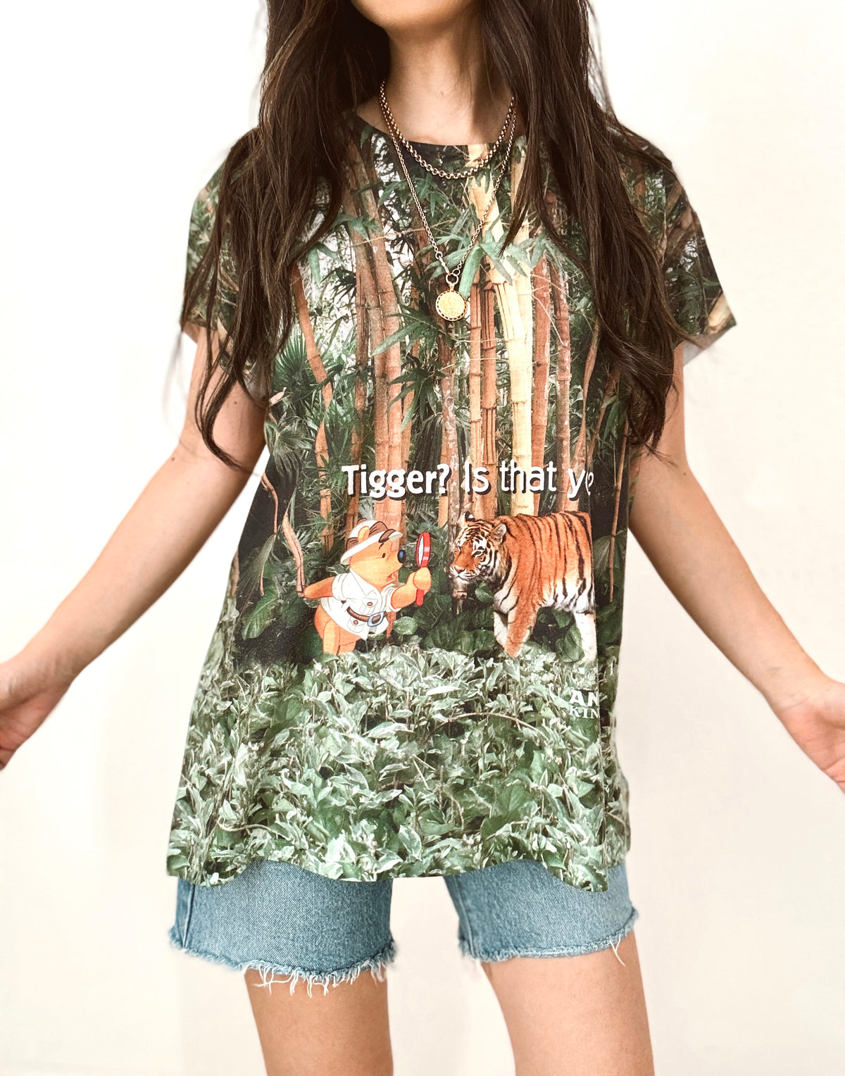 Pooh AK tee