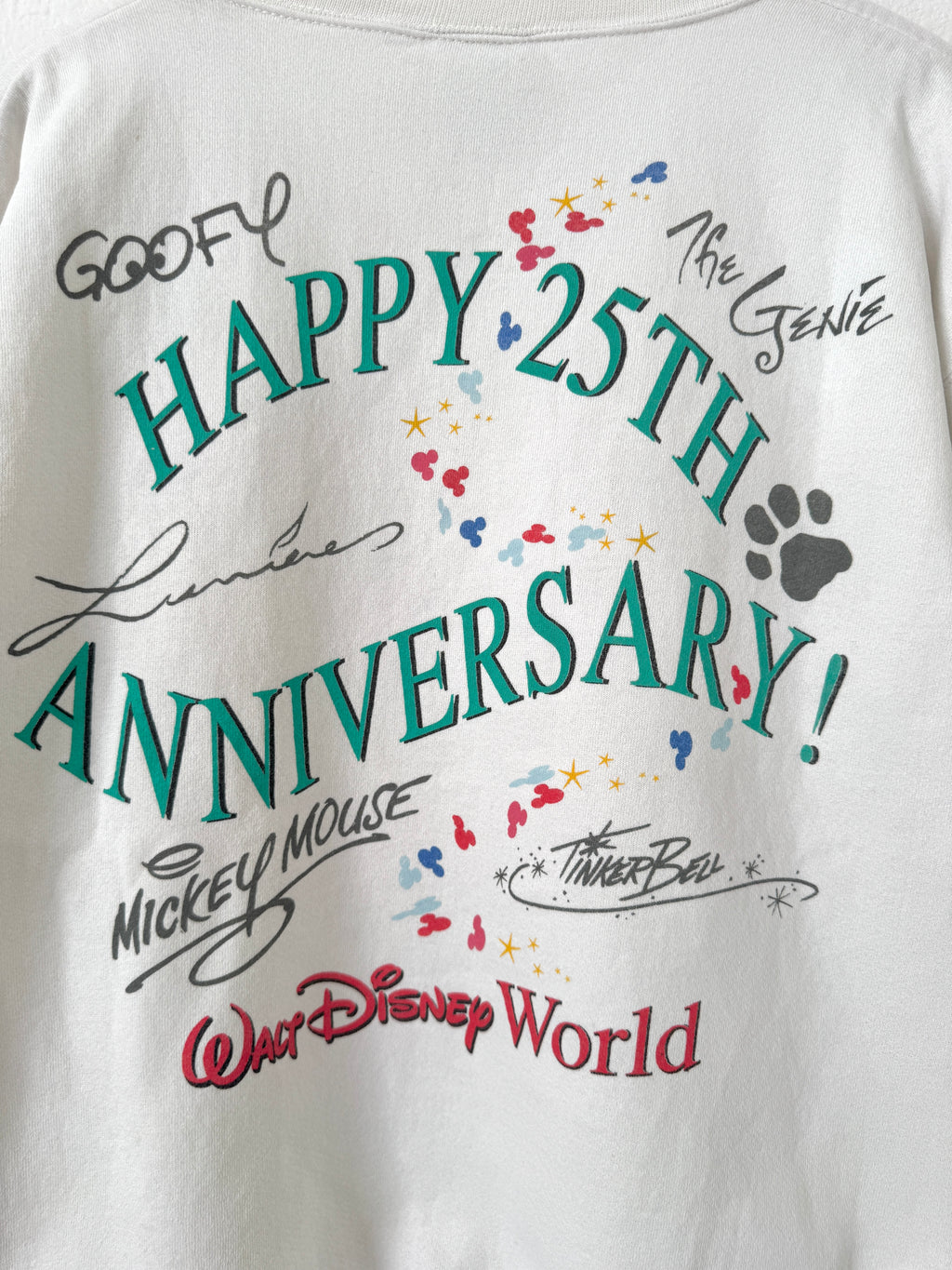 Magic kingdom 25th crewneck
