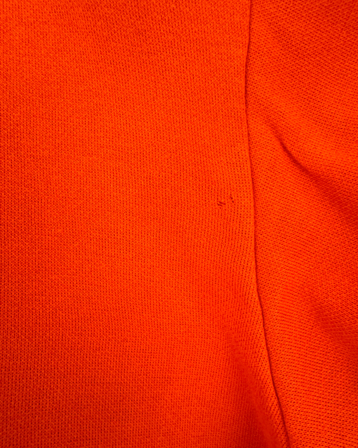 Mickey Giant pumpkin top