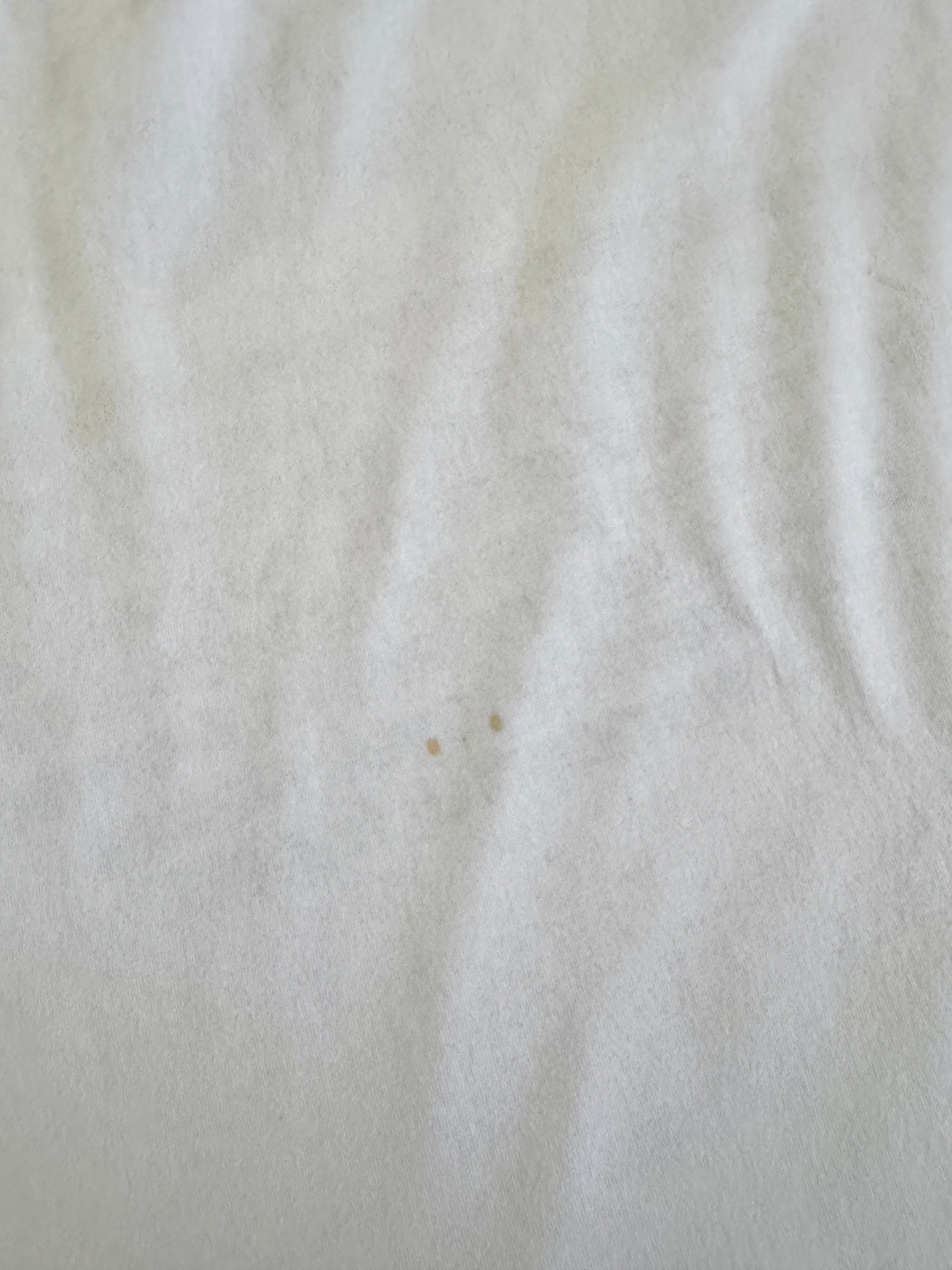 Epcot Italy Made tee