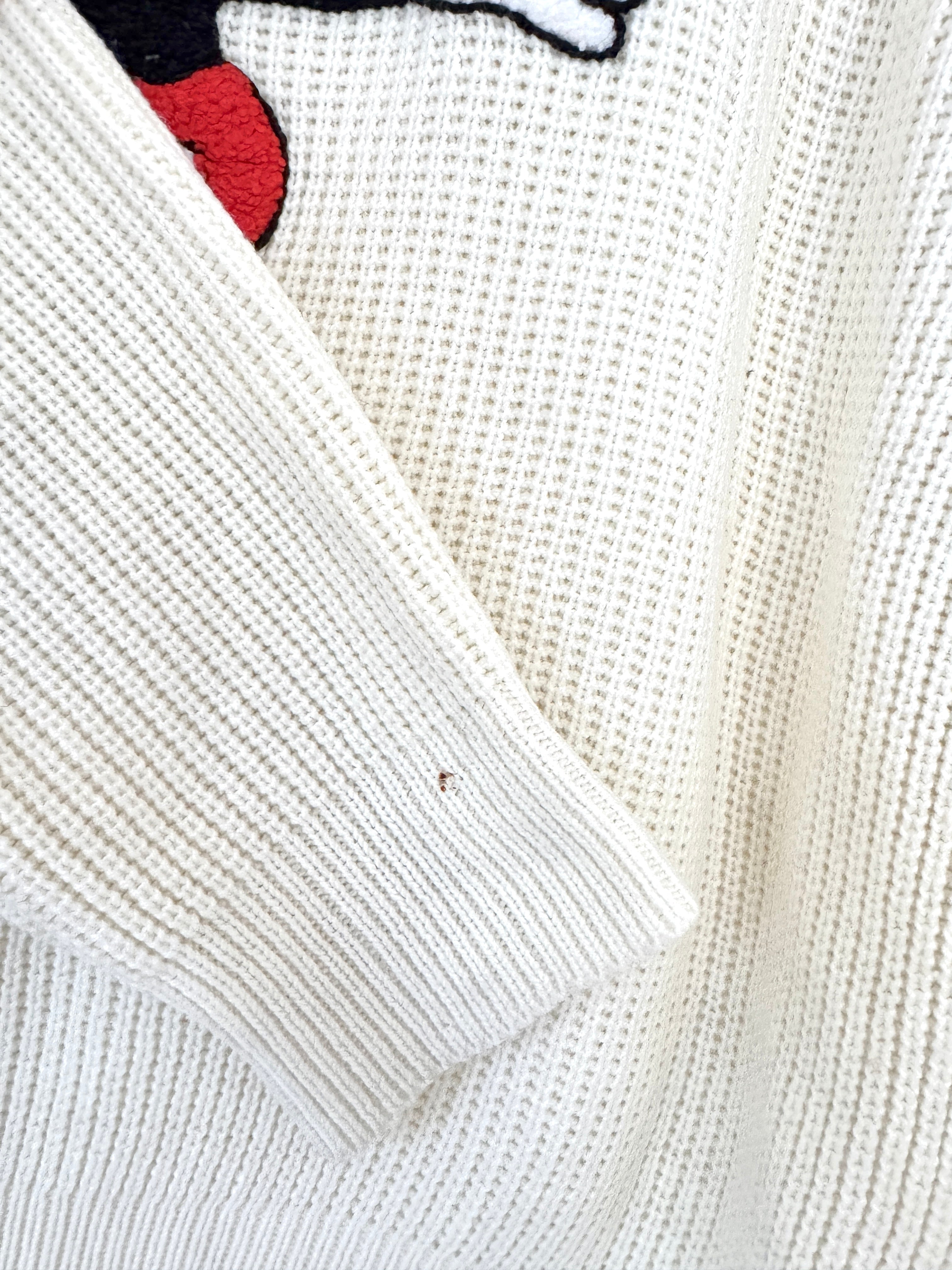 Classic Mickey sweater