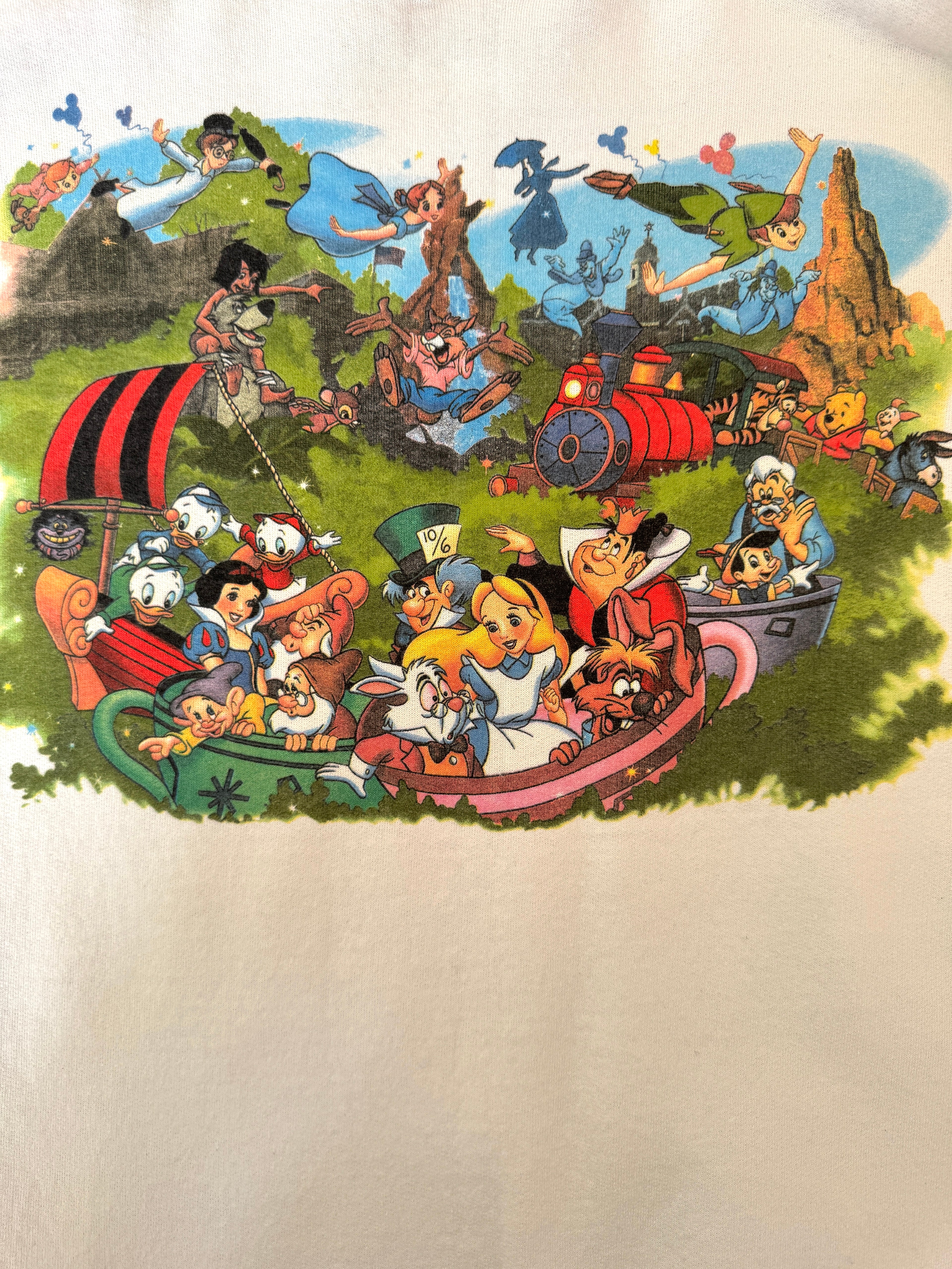 Magic kingdom crewneck