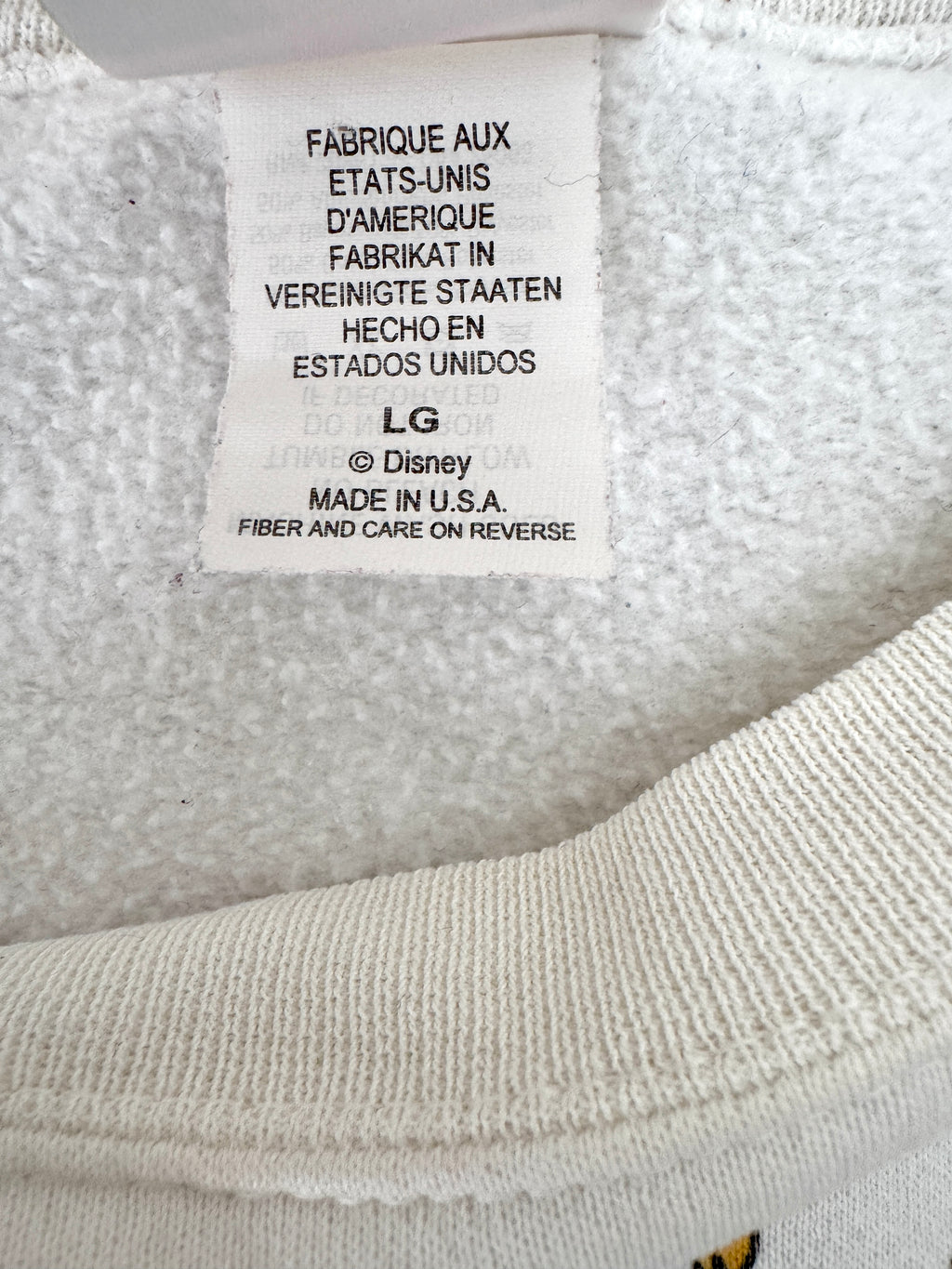 Magic kingdom 25th crewneck