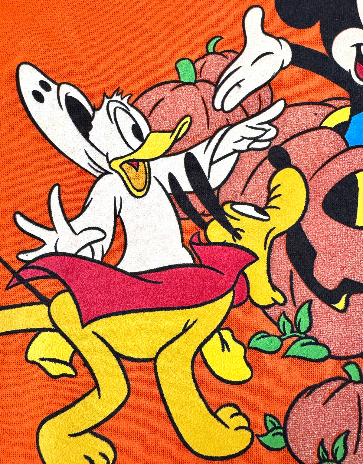 Mickey Giant pumpkin top