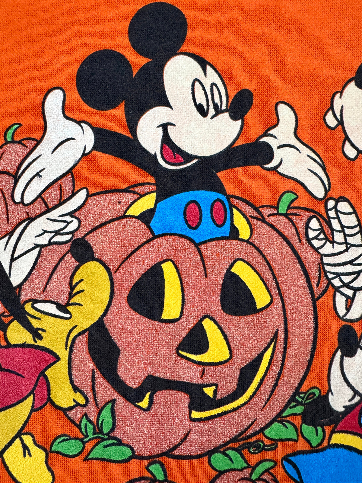 Mickey Giant pumpkin top